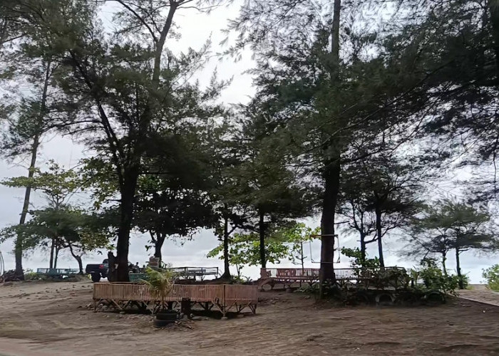 Wisata Pantai Panjang Ditata, Suara Pedagang Perlahan Menghilang