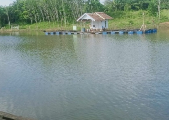 Semak Belukar Air Sebakul Disulap Jadi Danau Tempat Wisata  