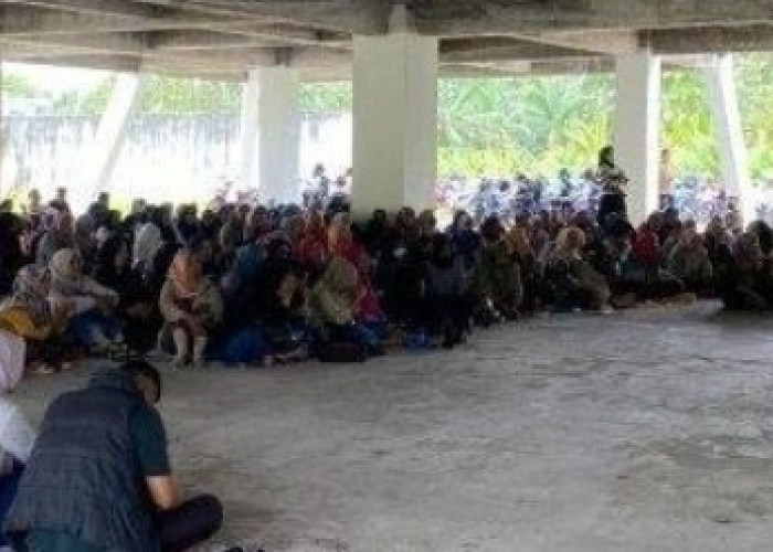  CPPPK Bengkulu Tengah yang Lulus Seleksi akan Ikut Geruduk Istana Negara dan Kantor DPR RI