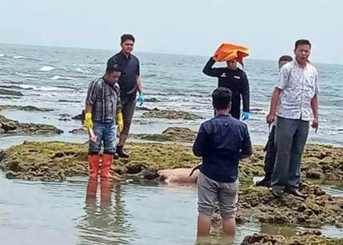 Masih Diselidiki, Mayat Tanpa Busana Ditemukan Pemancing di Pantai Panjang Masih di RS Bhayangkara
