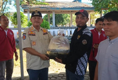 DKP Bengkulu Selatan Bagikan Bibit Ikan kepada Masyarakat