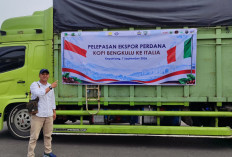 UMKM Kopi Bengkulu Kian Berdaya, Semakin Mendunia