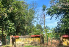 Kondisi Taman Remaja Bengkulu  Kian Memprihatinkan