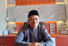  Tanaman Sawit Petani Banyak yang Tua, Program Peremajaan Sawit Rakyat di Mukomuko Terus Berlanjut 