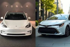 Mobil Hybrid vs Mobil Listrik Murni di 2026: Mana yang Lebih Worth It untuk Kantong Anda?
