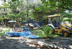 Wajah Baru Pantai Panjang, Pemkot Bengkulu Mulai Tata Kawasan Pasir Putih
