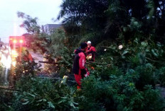 Pemkot Bengkulu Siaga Dampak Cuaca Ekstrem