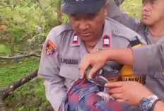 Memilukan, Jasad Bayi Perempuan Ditemukan Dekat Aliran Sungai Padang Guci 