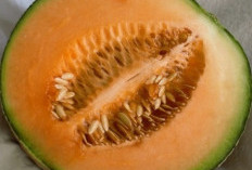  Buah Melon Ampuh Turunkan Tekanan Darah dan Jaga Imunitas