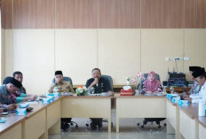 Wagub Mian Dorong Penetapan Harga TBS Bengkulu Rutin Tiap Bulan