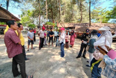 Menuju Wajah Baru Pantai Panjang, Penataan Humanis demi Kenyamanan Bersama