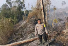 Musim Kemarau, Polres Kaur Perketat Pencegahan Karhutla, Lahan Warga di Maje Terbakar