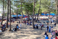  Selama Libur Lebaran, Masyarakat Berbondong-bondong  Kunjungi  Pantai Panjang