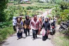 Wagub Mian Tinjau Jembatan Amblas di Air Merah, Langsung Koordinasi dengan Gubernur