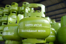 YLKI Minta Pemerintah Jangan Asal Ganti LPG 3 Kg dengan CNG