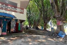 Walaupun Senang, Namun Ada Juga Pedagang  Kuliner Pasar Barukoto Mengeluh 