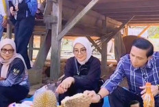 Dari Cawang Kidau, Bupati Gusril Gaungkan Kaur sebagai Sentra Durian dan Agrowisata Unggulan