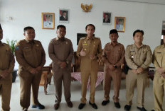 Waspada Kebakaran di Tengah Cuaca Panas Ekstrem, Bupati Kaur Ajak Masyarakat Tingkatkan Kewaspadaan