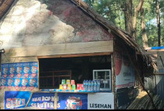 Pantai Panjang Semakin Cantik, Tapi apakah Pedagang Kecil Ikut Sejahtera?