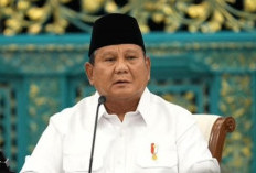  Presiden Prabowo Ancam Cabut HGU, HGB hingga IUP yang Mangkrak 6 Bulan