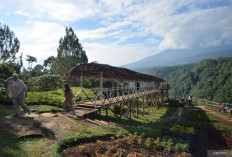 Pesona Wisata Sumatera Barat yang Mendunia 