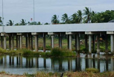  Cari Ikan, Anak SD Tenggelam di Bawah Jembatan Elevated  Danau Dendam Tak Sudah