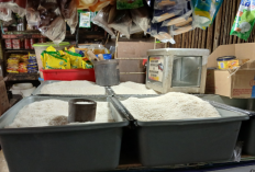 Usai Lebaran, Stok Beras Nasional  Aman hingga 11 Bulan