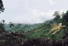 Banjir dan Longsor di Rejang Lebong Akibat Cuaca Ekstrem dan Kerusakan Lingkungan