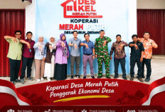 Pulau Payung, Lubuk Gedang dan Koto Jaya, Tiga KDMP Mukomuko dengan Progres Terbaik
