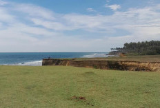 Pesona Pantai Nangai: Estetik tapi Terganjal Masalah Kebersihan