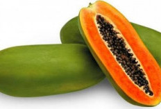 Jangan Campur Makanan ini Dengan Pepaya, Kenapa ya? 