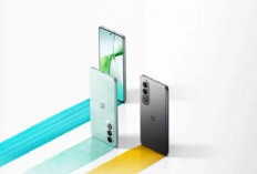 Oneplus Pad Pro, Tablet Android dengan Fitur IPS LCD Clock Speed 3,3GHz