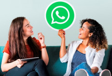 Kini Bisa Telepon dan Video Call, WhatsApp Web Luncurkan Fitur Baru