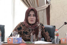Setelah Lama Diam, Vinna Ledy Anggraheni Akhirnya Buka Suara soal Penyidikan KPK