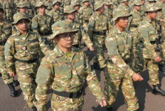 DPR Desak Kemhan Hentikan Latsarmil Calon Manajer Kopdes Merah Putih