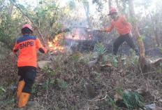 BNPB Imbau Warga Waspada Musim Kemarau
