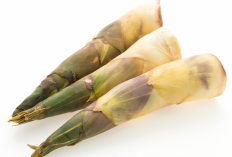 Rebung Disebut Ilmuwan Inggris Bakal Jadi Superfood Masa Depan