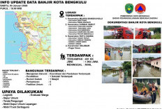  Data  Terbaru,  1.964 Jiwa Terdampak Banjir di Kota Bengkulu,  Empat Kecamatan Terendam