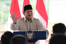 Presiden Prabowo Minta Kepala Daerah hingga Kades Awasi Dapur MBG