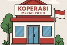 Kabar Gembira, 25 Gerai Koperasi Merah Putih di Kota Bengkulu Siap Beroperasi Juli 2026