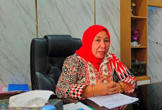 Dinas Kelautan dan Perikanan Bengkulu Selatan  Lakukan Pengadaan Indukan Ikan Nila