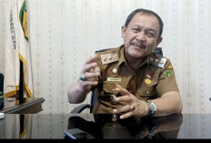 Pemda Bengkulu Selatan Akan Beri Pendampingan Untuk Pemilik Warem yang Ditertibkan