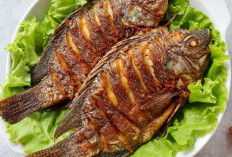 Cara Memasak Ikan Nila Goreng Garing dan Gurih