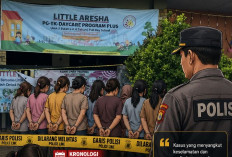 13 Pengelola Daycare Little Aresha Ditetapkan Jadi Tersangka Kekerasan Anak