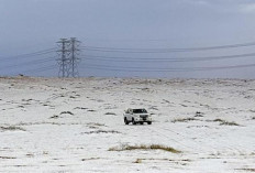 Salju Langka di Jabal Al-Lawz: Spiral of Silence dalam Persepsi Publik Arab Saudi