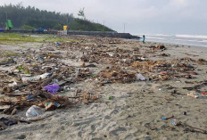 Menilik Pentingnya Narasi Lingkungan dan Bencana di sekitar Kita