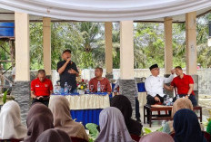 Balai Benih Ikan Kota Bengkulu  Panen 4.000 Ekor Lele
