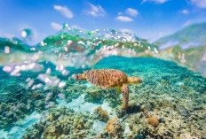 6 Tempat Wisata di Dunia Ini Terancam Hilang, Pernahkah Mengujunginya?