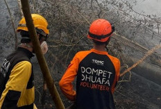 138 Tersangka Kasus Karhutla Ditetapkan, 8 Korporasi Ikut Didalami