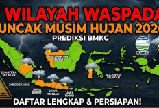 Waspada Hujan Merata, Seluruh Wilayah Bengkulu Diprediksi Basah Hari Ini